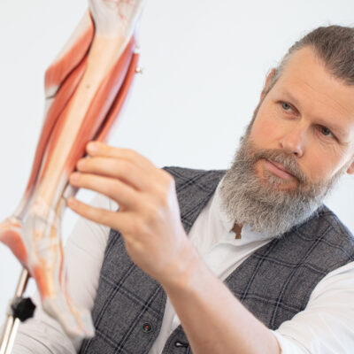 Prof. Björn Spittau steht vor einem Modell des Muskelbeins mit Beckenansatz.
