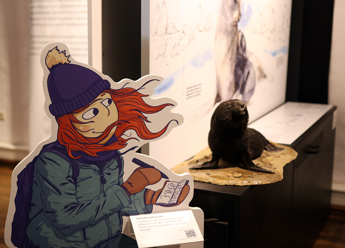 Aufsteller einer Comicfigur schaut auf präparierten Antartktischen Seebären