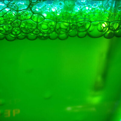 Mikroalgen: grüne Flüssigkeiten mit Bläschen im oberen Bereich