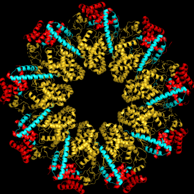 Bild der Struktur des ausgeschleusten Proteins