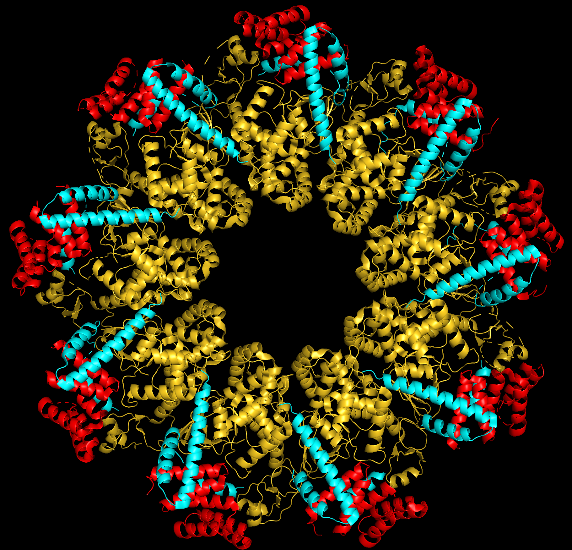 Bild der Struktur des ausgeschleusten Proteins