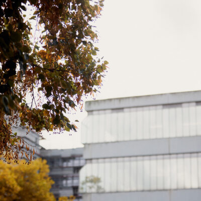 Uni im Hintergrund, im Vordergrund der Ast von einem Baum im Herbst