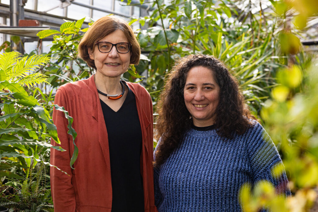 Professorin Dr. Dorothee Staiger und Dr. Julieta L. Mateos vor Pflanzen in einem Gewächshaus