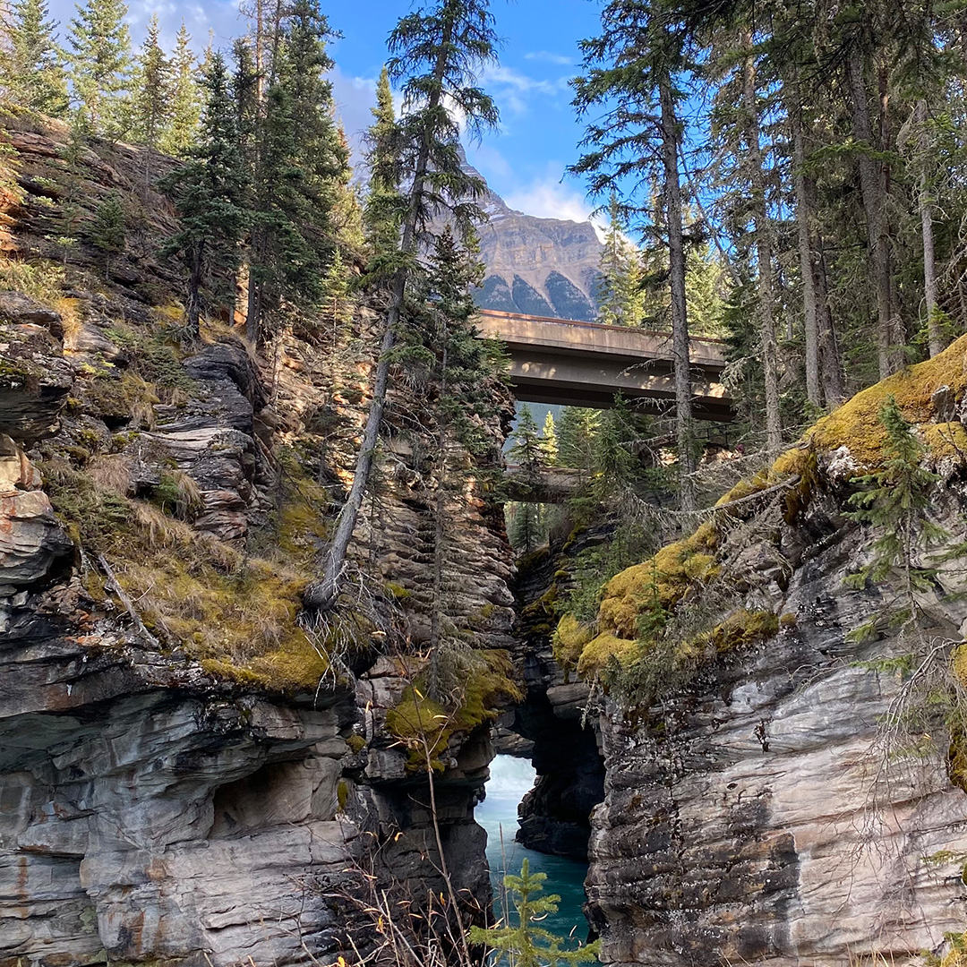 A small canyon with a river in Jasper National Park