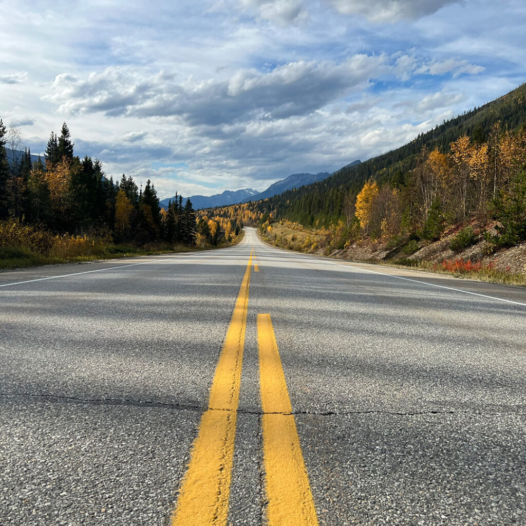 Eine leere Straße, die durch einen Wald im Jasper Nationalpark führt
