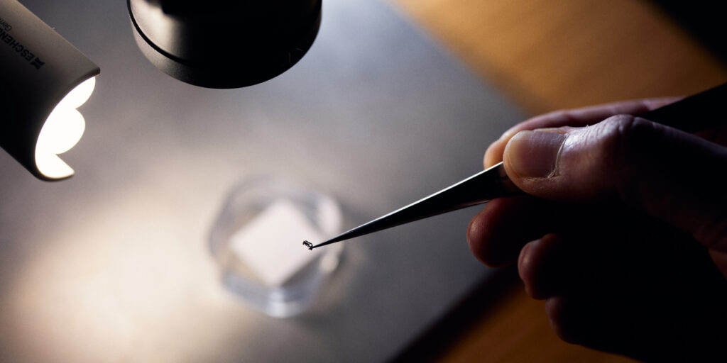 Hand holds tweezers with tiny sample