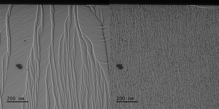 Images of the transmission electron microscope in comparison