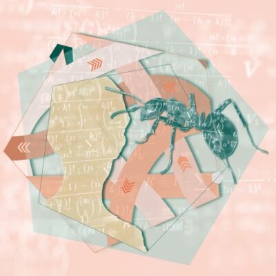 Wie Menschen, Tiere und Maschinen klug entscheiden können - Universität Bielefeld