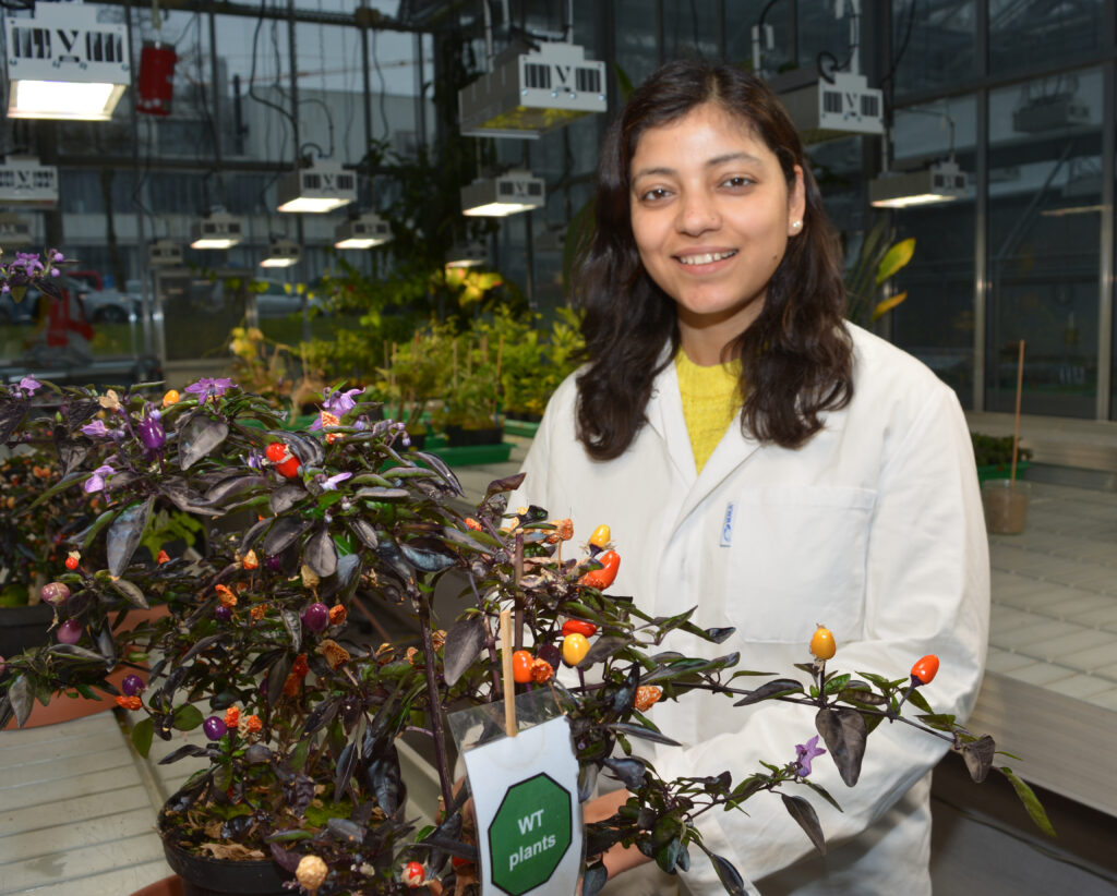 2026-02-12-Rajput_Ruchika