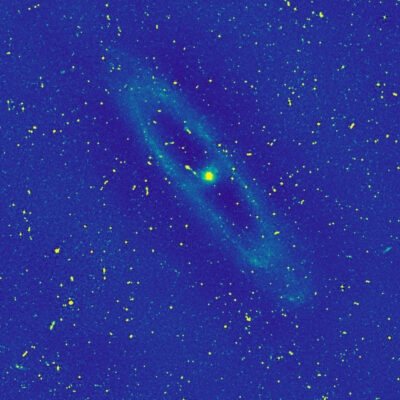 Falschfarben-Aufnahme der Andromeda-Galaxie (M31) im Radiobereich, aufgenommen mit dem LOFAR-Teleskop. Das helle Zentrum markiert einen supermassereichen Schwarzen Loch. Ein diffuser Ring zeigt aktive Sternentstehungsregionen. Hunderte Lichtpunkte im Hintergrund sind entfernte Galaxien mit eigenen Schwarzen Löchern. Bild: LOFAR Surveys Collaboration