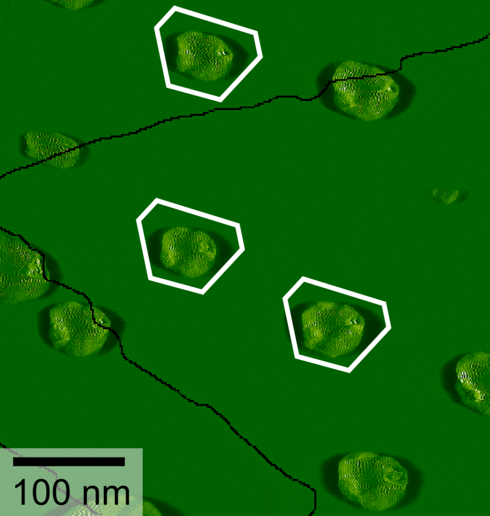 Mikroskopaufnahme von winzigen, sechseckigen Strukturen auf einer grünen Oberfläche; die Objekte sind nur wenige hundert Nanometer groß.
