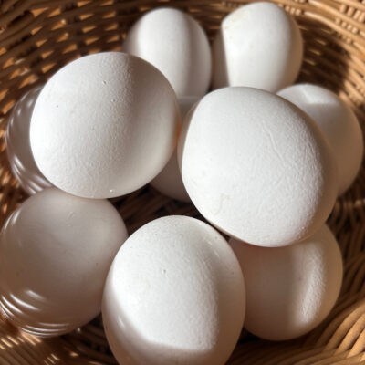 Eier